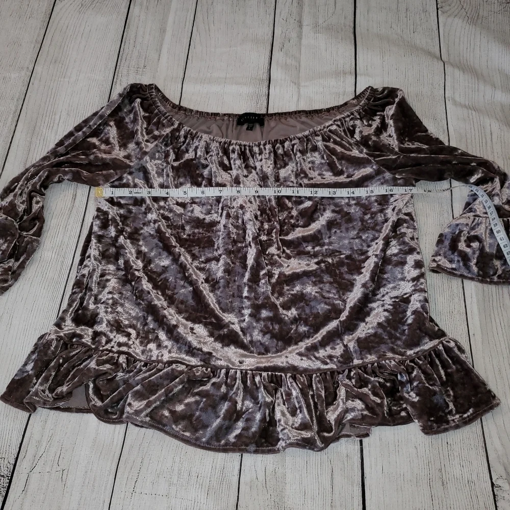 Sanctuary beautiful crushed Velvet Blouse - Picture 8 of 10
